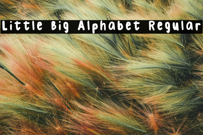Little Big Alphabet Regular Example 3