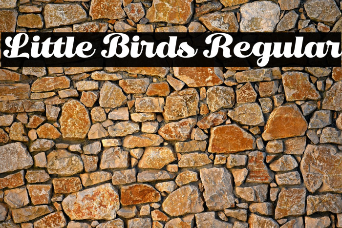 Little Birds Regular Example 1