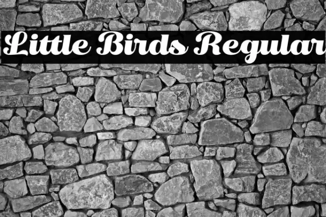 Little Birds Regular Font examples