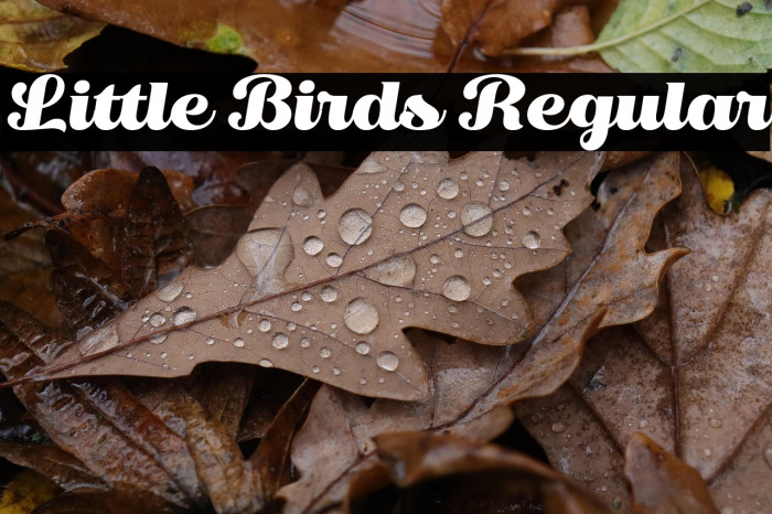 Little Birds Regular Example 3