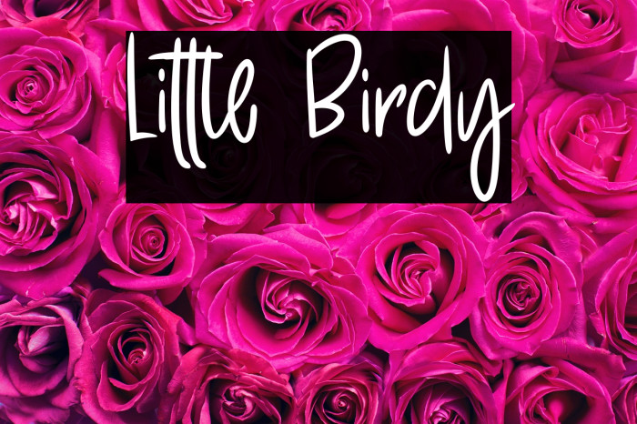 Little Birdy Example 1