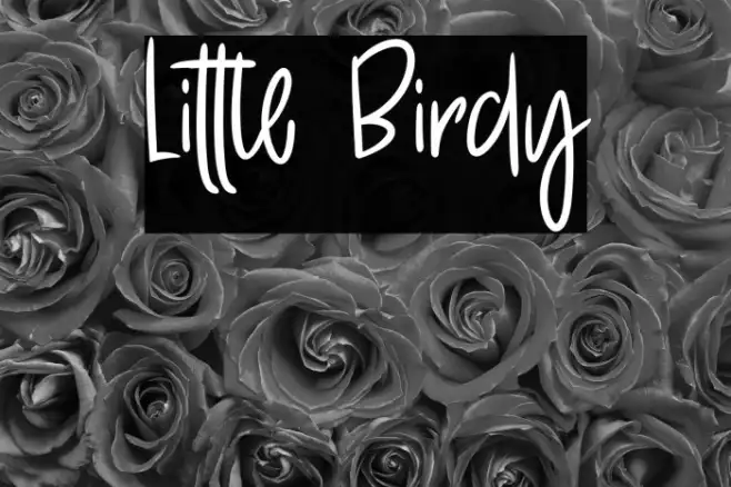 Little Birdy Example 1