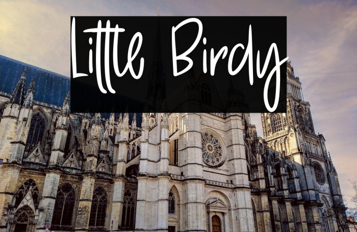 Little Birdy Example 2