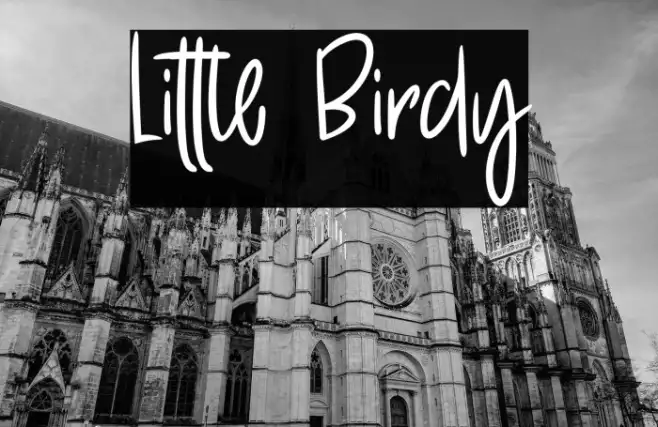 Little Birdy Example 2