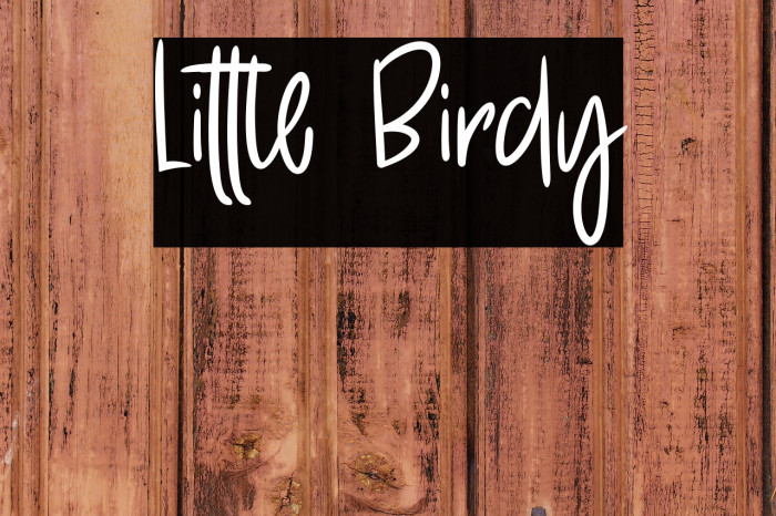 Little Birdy Example 3