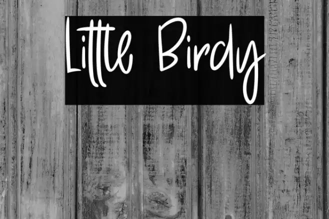 Little Birdy Example 3