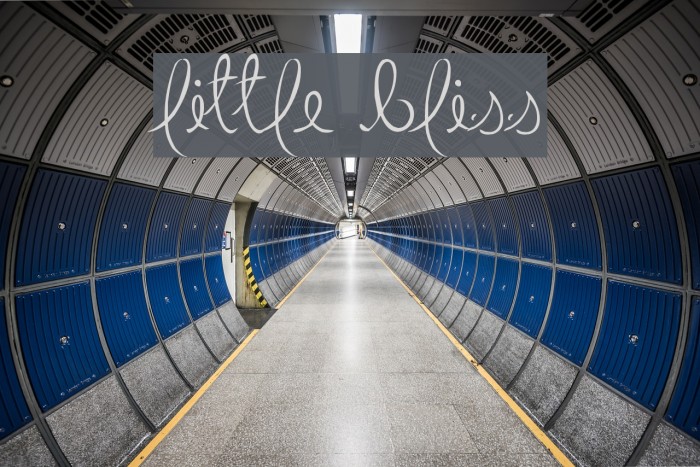 Little Bliss Example 2