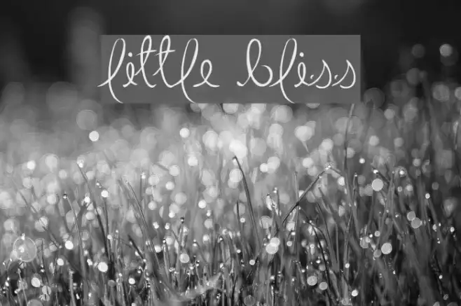 Little Bliss Example 3