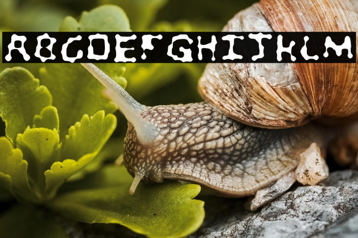 Little Blob Example 1