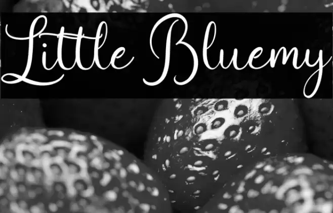 Little Bluemy Font examples