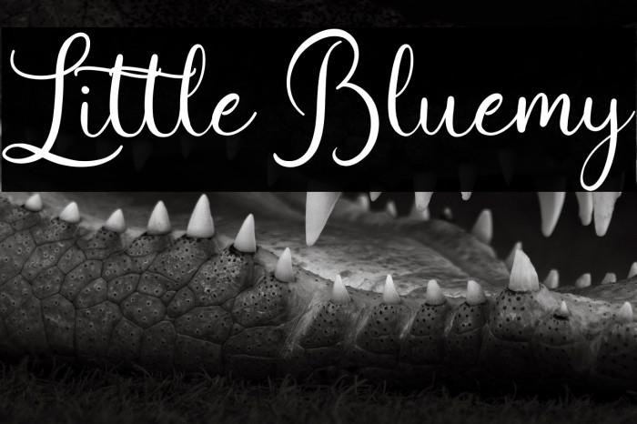 Little Bluemy Example 3