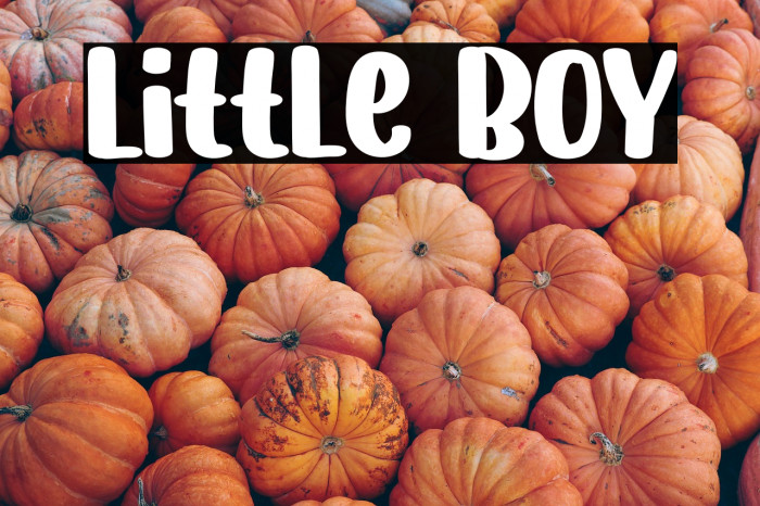 Little Boy Example 1