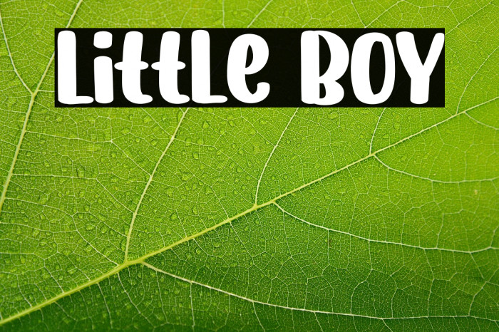 Little Boy Example 2