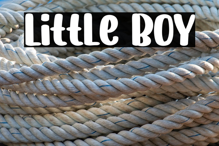 Little Boy Example 3