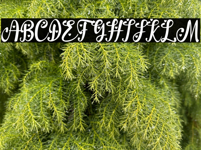 Little Bubbly Example 1