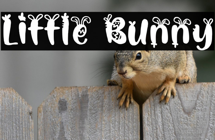 Little Bunny Example 3