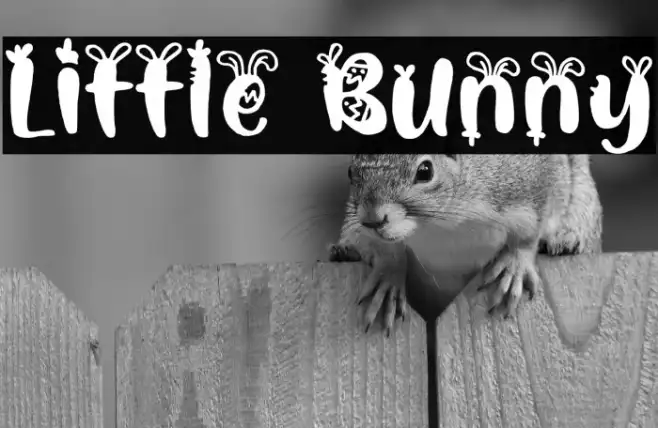 Little Bunny Example 3