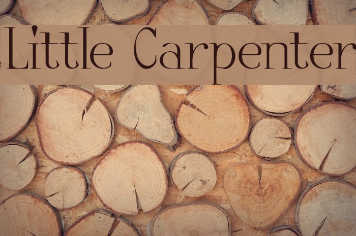 Little Carpenter Font examples