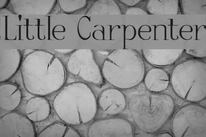 Little Carpenter Example 1