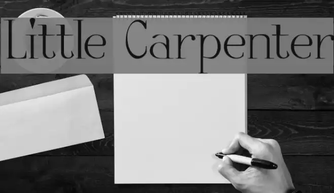 Little Carpenter Example 2
