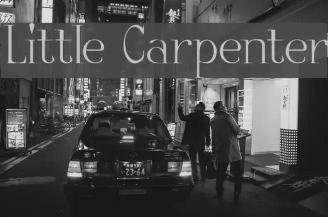 Little Carpenter Example 3