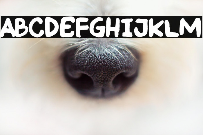 Little Caudillo Example 1