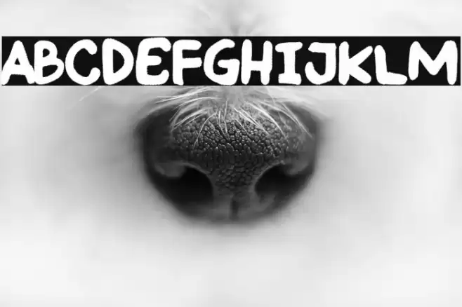 Little Caudillo Caratteri examples