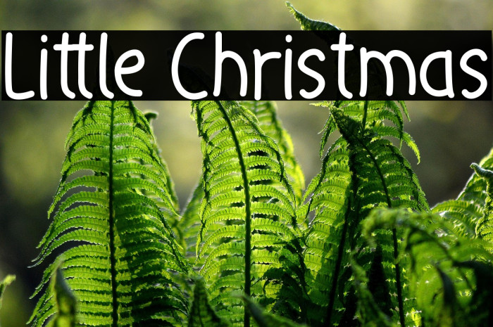 Little Christmas Example 3