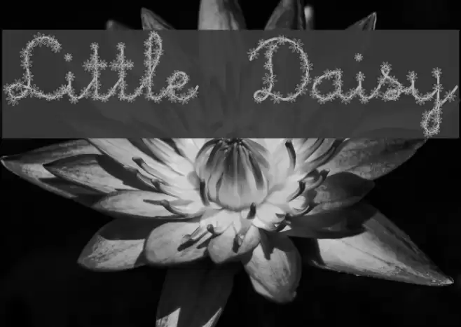 Little Daisy Font examples