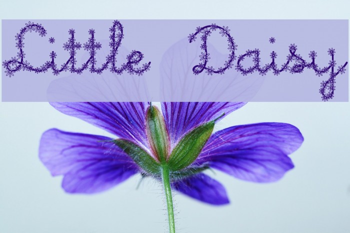 Little Daisy Example 3