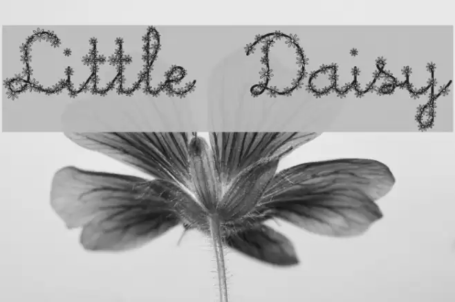 Little Daisy Font examples