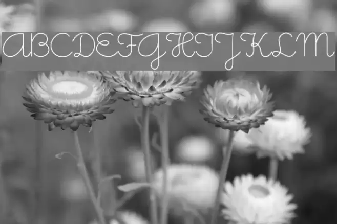 Little Days Font examples