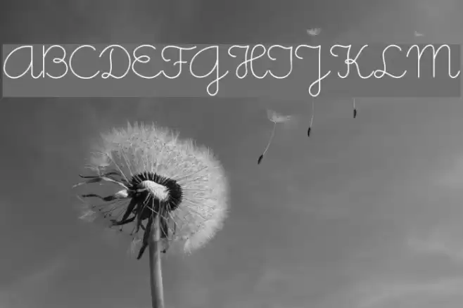 Little Days Font examples