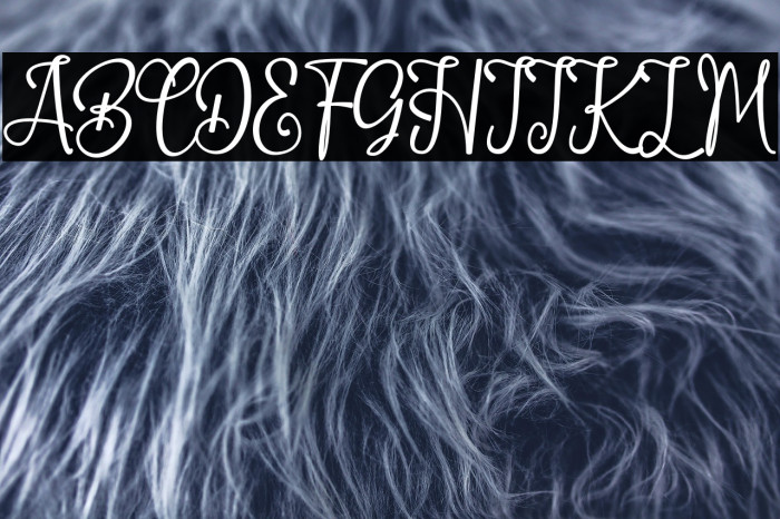 Little Donjuan Example 1