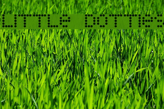 Little Dotties Example 1