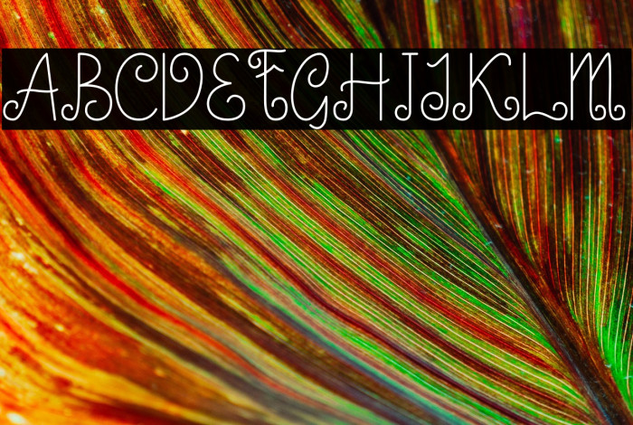 Little Edward Example 2