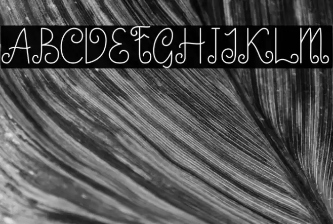 Little Edward Font examples