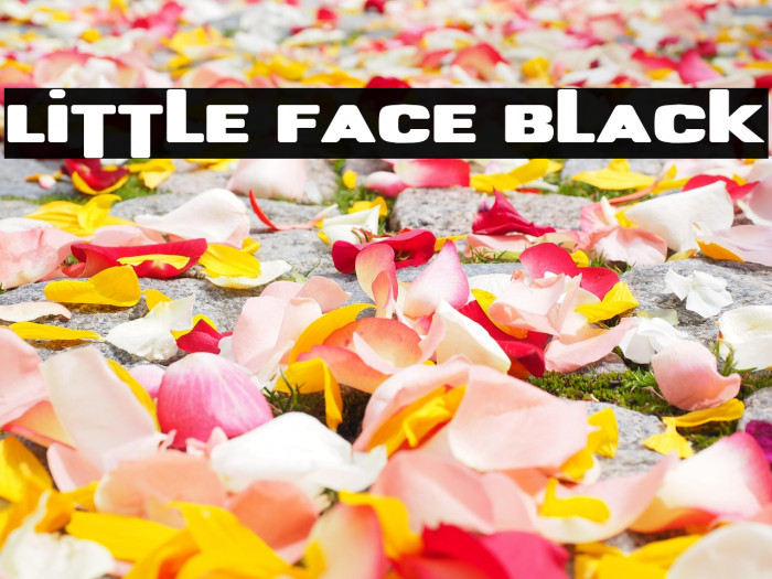Little Face Black Example 3