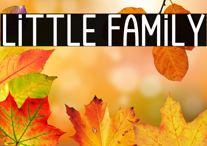 Little Family Example 1