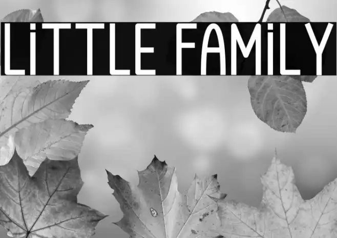 Little Family Example 1