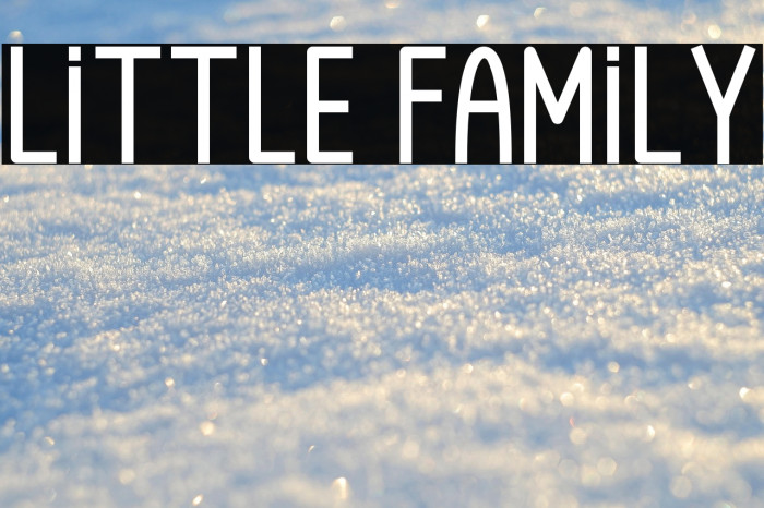 Little Family Example 2