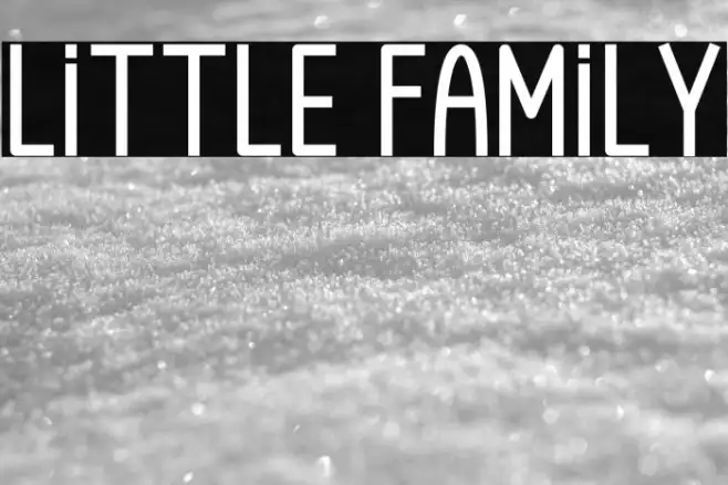 Little Family Example 2
