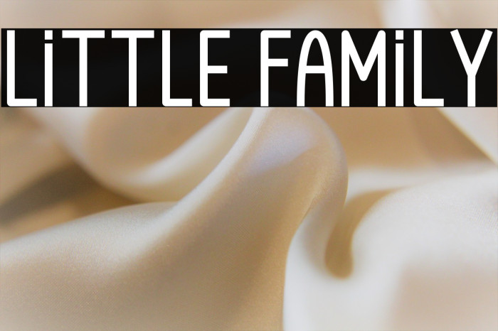 Little Family Example 3