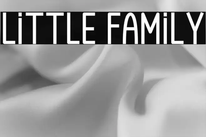 Little Family Example 3