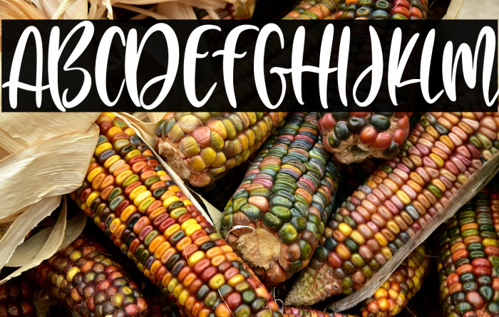 Little Farmhouse Example 3