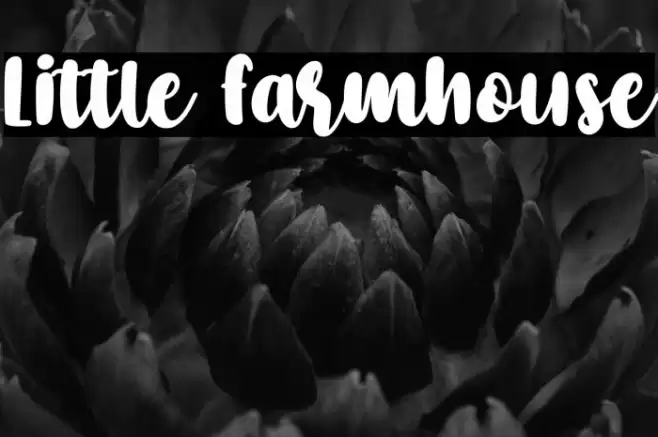 Little Farmhouse Font examples