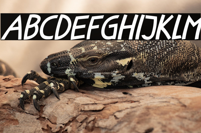 Little Fish Italic Example 1