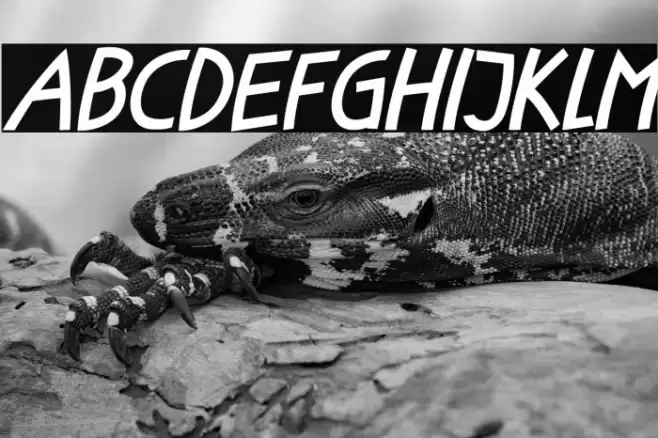 Little Fish Italic Font examples