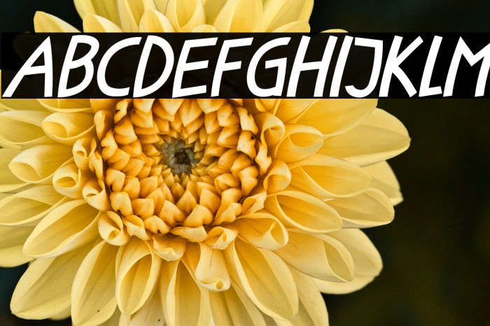 Little Fish Italic Example 3