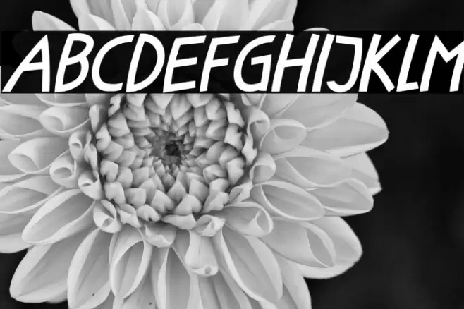 Little Fish Italic Font examples